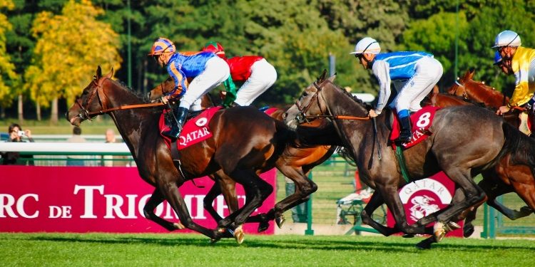 Maximizing Your Betting Experience with the Bet365 Bonus Code