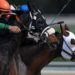 Ante-Post Ideas For Cheltenham 2024