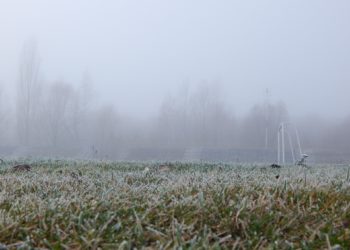 Examining the Significant Influence of Weather Conditions on Betting Outcomes