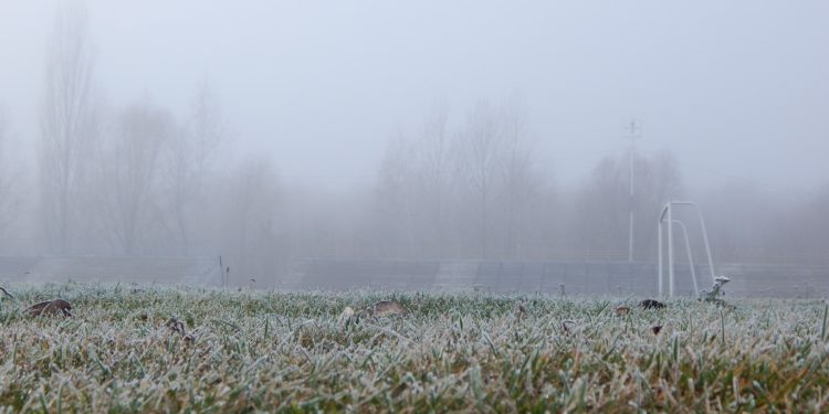 Examining the Significant Influence of Weather Conditions on Betting Outcomes