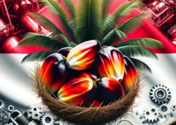 The Global Reach of Palm Oil: A Prime Mover of Industries and Economies