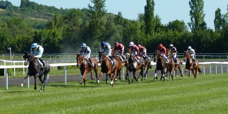 Kick Off Your Winnings: Exploring the Hottest New Football Betting Sites