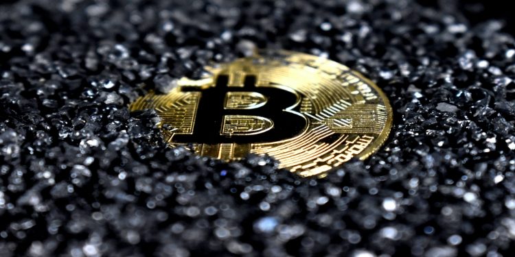Back Gold Bitcoin
