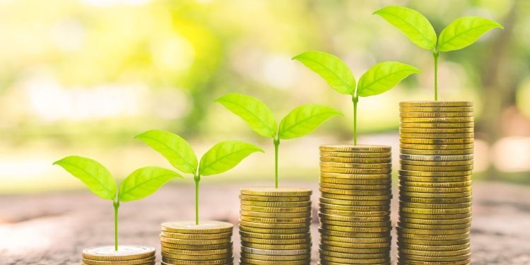 Credit Passport: Empowering Financial Decision-Making