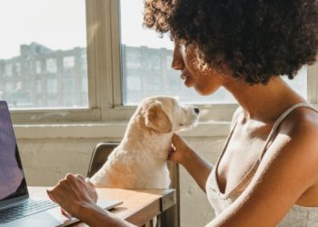 Virtual Vibrance: The Electrifying Thrill of Online Casinos Compared to Land-Based