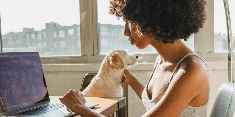 Virtual Vibrance: The Electrifying Thrill of Online Casinos Compared to Land-Based