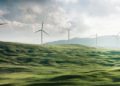 What Are The 4 Types Of Sustainability?