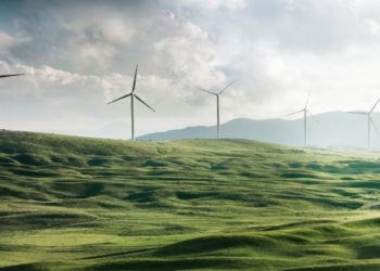 What Are The 4 Types Of Sustainability?