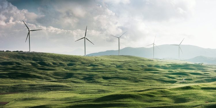 What Are The 4 Types Of Sustainability?
