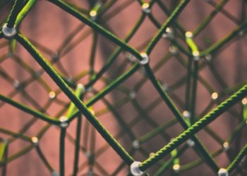 From Bitcoin to Blockchain Diversity: The Evolution of E-Money