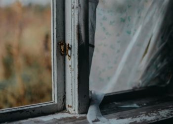 How Often Should Properties Be Checked For Mould?
