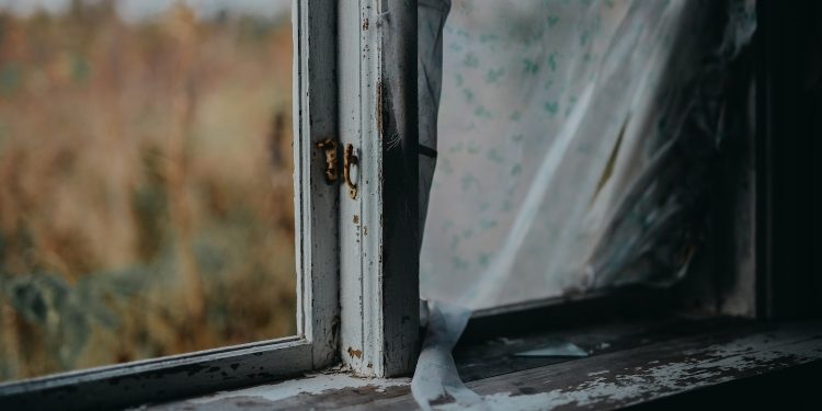 How Often Should Properties Be Checked For Mould?