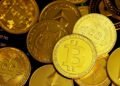 Voyaging through the Crypto Cosmos: Bitcoin and Its Companions