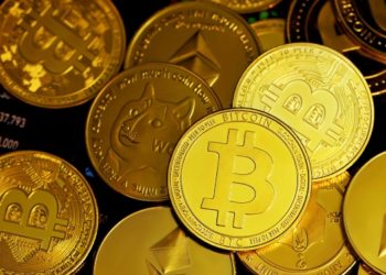 Voyaging through the Crypto Cosmos: Bitcoin and Its Companions