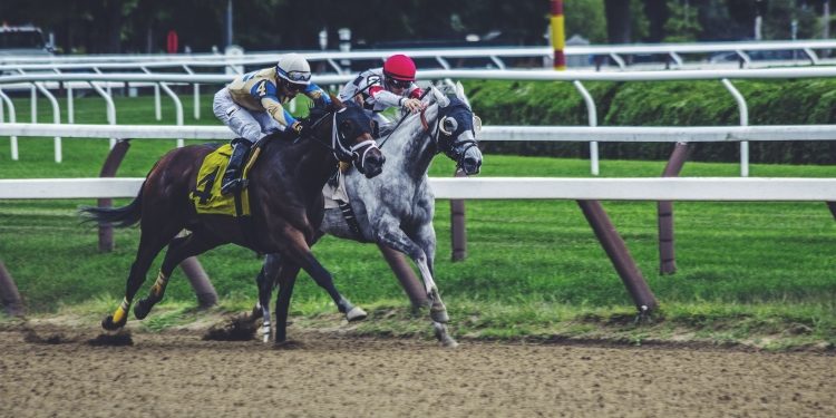 Five Tools That Could Help Improve Your Sports Betting Strategies