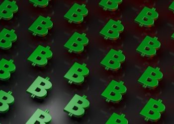 Echoes of the Blockchain: A Guide to Bitcoin-Related Coins