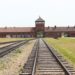 A Journey Through History: The Auschwitz Tour