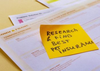 The Best Journey to The Desert Safari Dubai Adventure