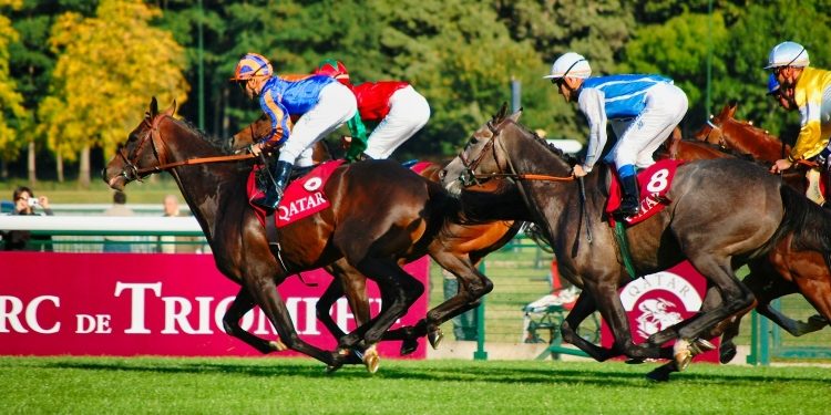 Betting on Horse Racing: Tips and Tricks