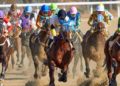 From Ascot to Aintree: The UK Horse Racing Calendar 2024
