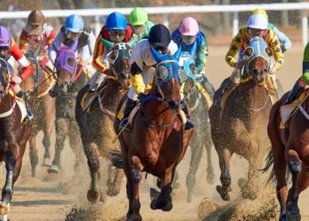 From Ascot to Aintree: The UK Horse Racing Calendar 2024