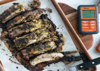 Best Bluetooth Meat Thermometers of 2024