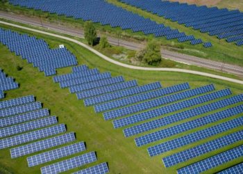 Safeguarding your Solar Efficiency: The Role of Bird Proofing Solutions