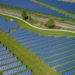Safeguarding your Solar Efficiency: The Role of Bird Proofing Solutions