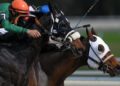 Paul Townend Set for Another Big Cheltenham Festival