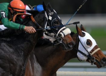 Paul Townend Set for Another Big Cheltenham Festival