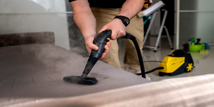 Why People Are Turning to Professional Upholstery Cleaners