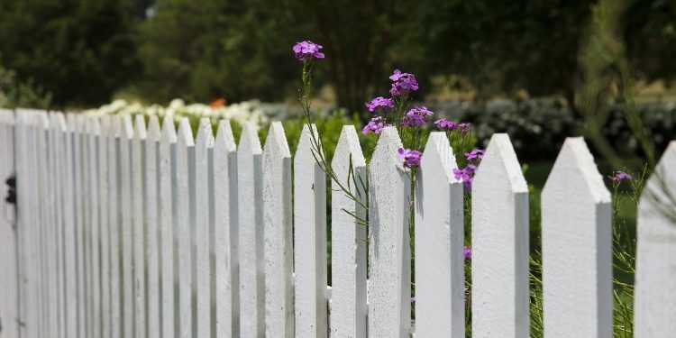 Enclosing Beauty: Choosing the Right Garden Fence, Gate and Trellis