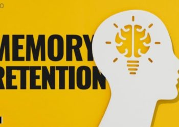 The Science of Memory: Techniques to Enhance Retention for Exam Success!