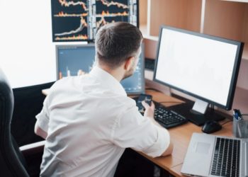 The Strategic Crypto Investor: Building a Diverse Digital Portfolio