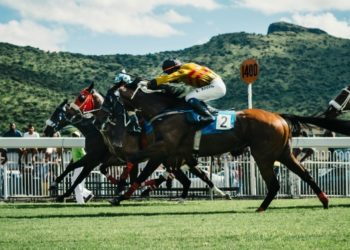 Constitution Hill Ruled Out of Champion Hurdle Defence at 2024 Cheltenham Festival