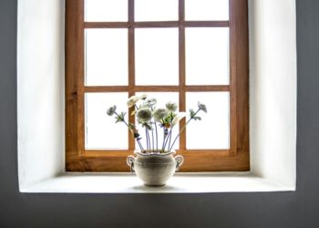 The Benefits of Accoya Wood in Sash Window Design