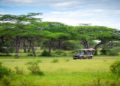 Safari Serenity: Discovering Kenya’s Hidden Jungle Gems