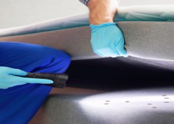 Effective Heat Treatment Solutions for Bed Bugs