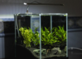 Small Aquarium Heater