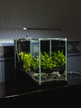 Small Aquarium Heater