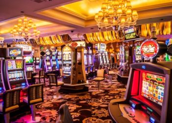 Why Are Social Casinos Gaining Popularity Among Online Gamers?