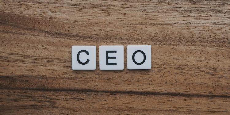 Deciphering the Role and Compensation of Executive Leadership and CEOs