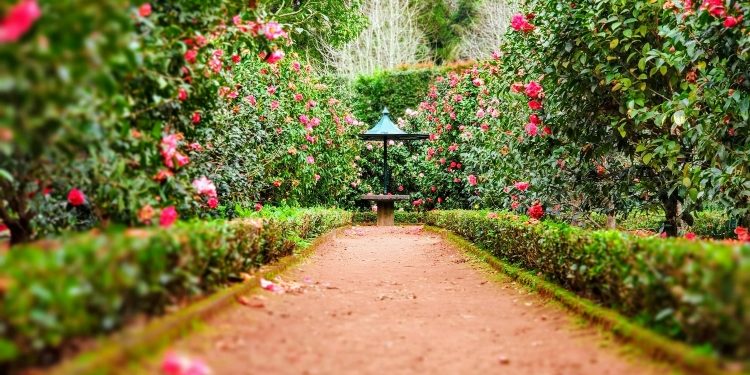 How to Make the Most Out of a Large Garden