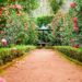 How to Make the Most Out of a Large Garden