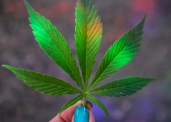 What’s 420 Day and Why You Should Care