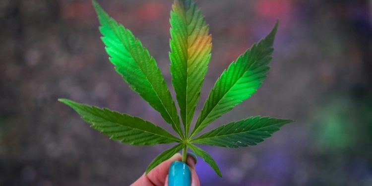 What’s 420 Day and Why You Should Care