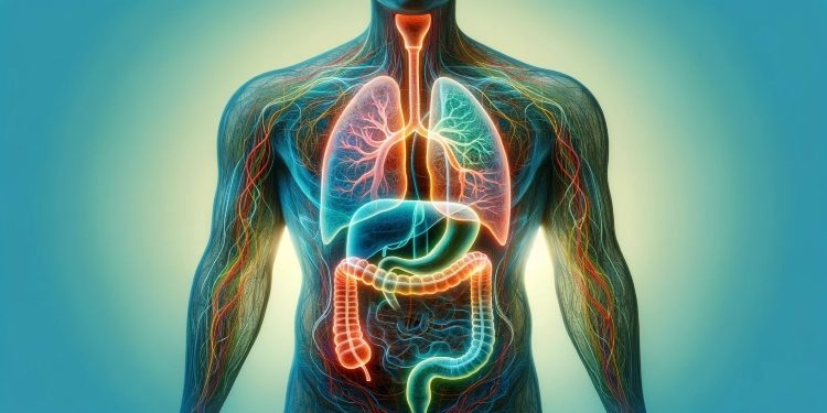 Introduction to Gut Health