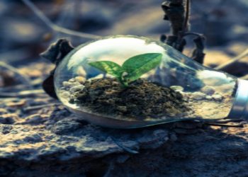 20 Easy Ways You Can Protect the Environment