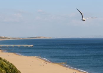 The Best Entertainment Spots and Activities in Bournemouth