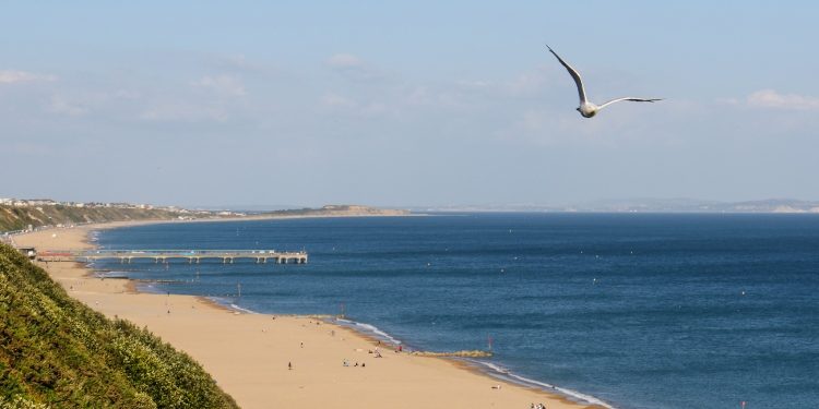 The Best Entertainment Spots and Activities in Bournemouth